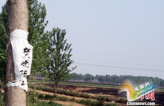 涨սոѵһѻ10Ԫ ͬ