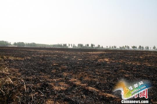 涨սոѵһѻ10Ԫ ͬ