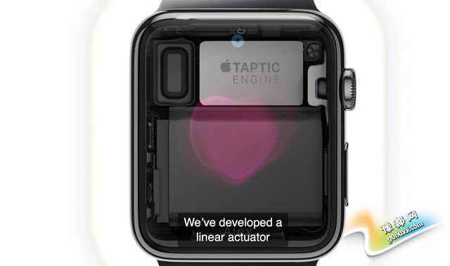 Apple Watch iPhoneiPadδ 