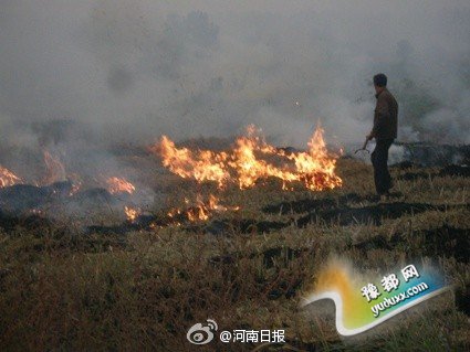  10月2日河南共发现焚烧秸秆火点12个 周口最多