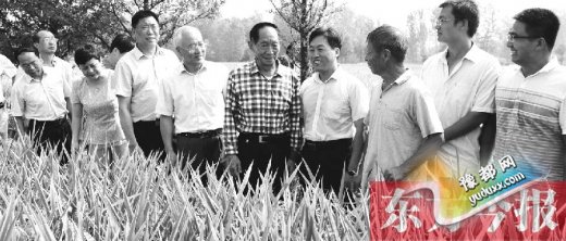  杂交水稻之父袁隆平：河南试验田三年完成总理任务