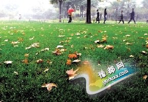 传郑州"一秒入冬"将迎30年来最冷冬天 专家辟谣