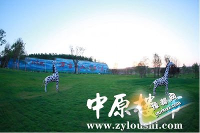 191017457d0794535f5509.jpg 图片2.jpg