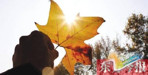  未来三天河南开启晴冷模式 今日有冷空气来袭