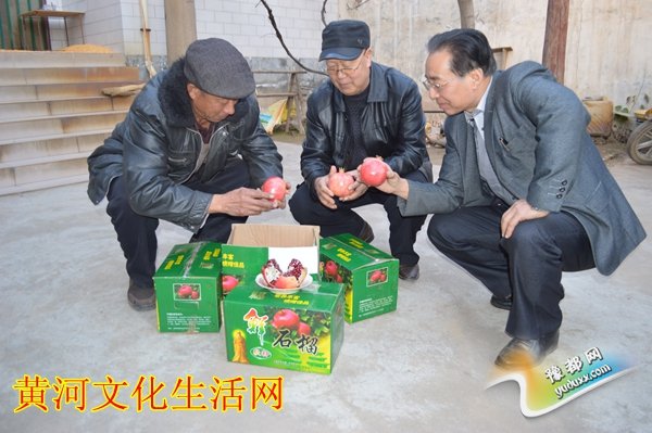新农村e联：为产品购销联姻