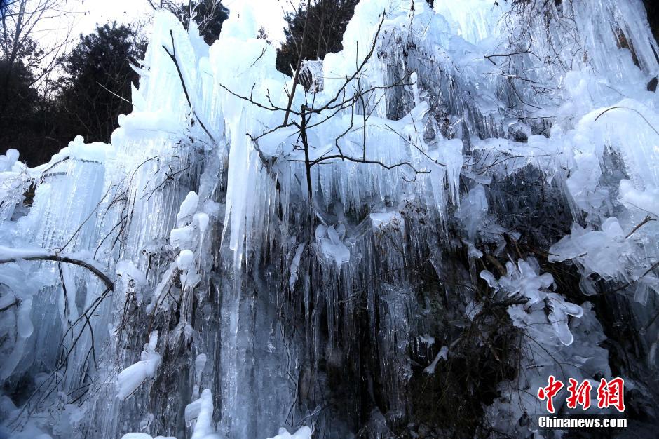 12月30日，河南洛阳追梦谷里，曾经水流不停的山谷小溪悄然成冰，形成美丽的冰挂奇观，吸引民众围观。 中新社记者 王中举 摄