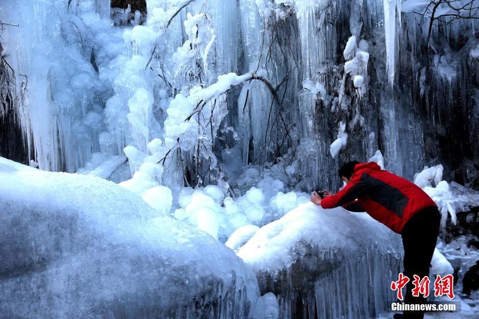 12月30日，河南洛阳追梦谷里，曾经水流不停的山谷小溪悄然成冰，形成美丽的冰挂奇观，吸引民众围观。 中新社记者 王中举 摄