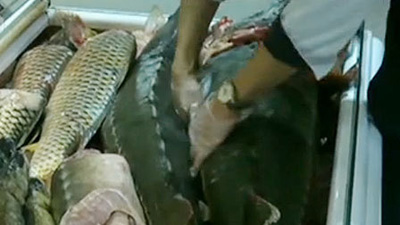 ������!������������㡱����������