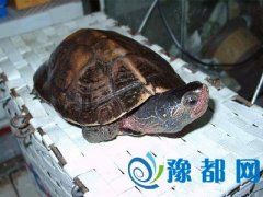 ʲôʺ?İڷλ?Ӽҷˮ?