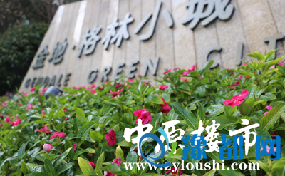 04102019a69f00121d2661.png 12_副本.png