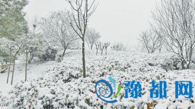 河南多地昨降2016年第一场雪 今日局地雨雪停止