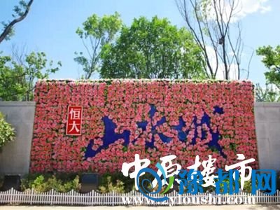 071453079d85258ac36118.jpg 5.jpg