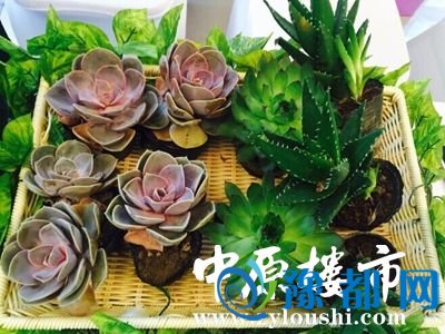 141001590085924c157047.jpg 0.jpg