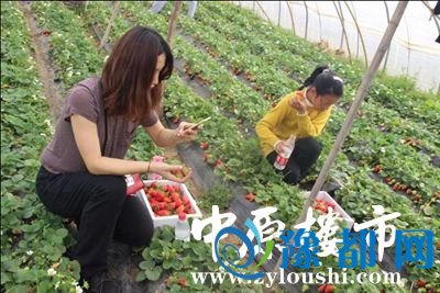 141822478a810bb8331094.jpg 图片1.jpg