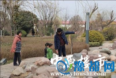 14182311339ea409323471.jpg 图片2.jpg