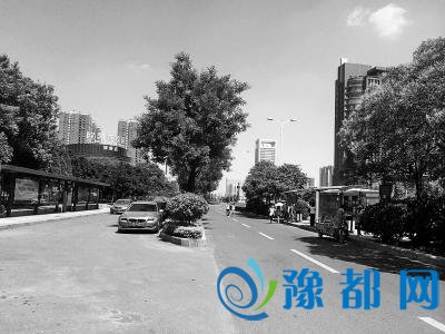 郑东新区16座公交港湾出生就成“备胎” 3年未整改