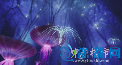 261556525e3572a10c6928.png 11_副本.png