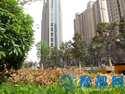 29221152b11da784866599.png (9W8OS3W6Q)J22S_$0LOC$7.png