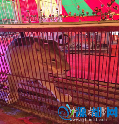 3010580013024486817651.png 6.png