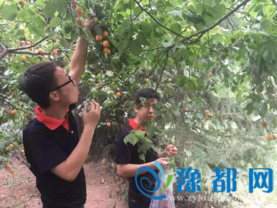 02091844d17200f4510413.png 1.png