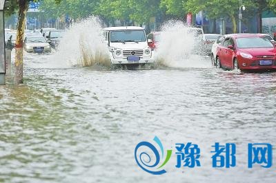 郑州一高速口积水堵出千米长龙 管道6年未疏挖