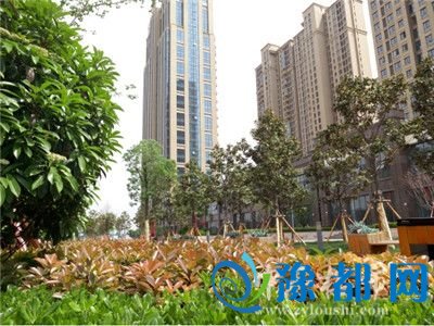 08175123ba9f1ec11b9832.jpg 图片7.jpg