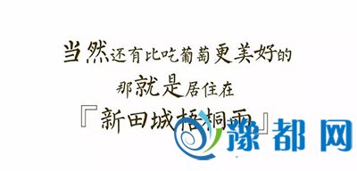 231137104339df2c6d8837.jpg 12.jpg