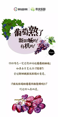 2311312298a064af807012.jpg 10.jpg