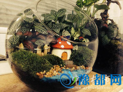 271721344c366eb7303349.png 13_副本.png