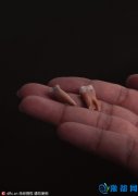 科学家发现古人类化石 比“霍比特人”更矮小