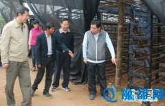 2016ֽڷƶ ǿܶ ץʩ