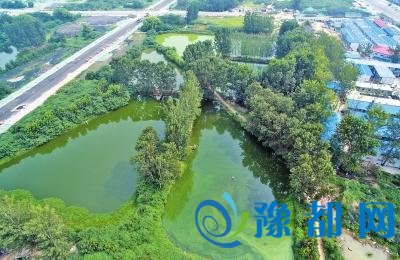 郑州新“地王”出自北龙湖鱼塘 楼面价近3.7万/㎡