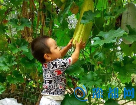  今日河南多地大雨局部暴雨 气温将明显下降