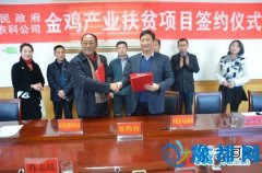 卢氏县政府与北京德青源农科公司举行签约仪式