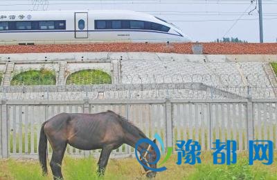 郑徐高铁正式开通运营 标志中国高铁正式成网