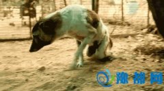 40ʱѾˣ90Ÿոտʼ