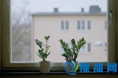 鿪˴ʦһƣ11.16-11.22