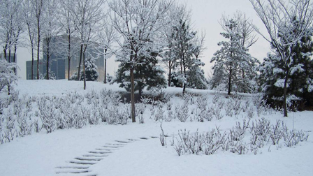 ȫ�����ӭ��Χ��ѩ���� ���£�����ʽ���µ�