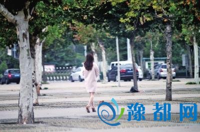  河南今明局地有暴雨 西风凋碧树别忘穿秋裤