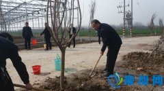 县发改委积极参加义务植树活动