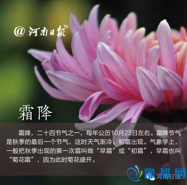 河南下周最低气温2℃ 28日之前全省连续阴雨天