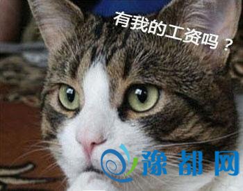 网友齐晒工资单  谈谈工资这个事