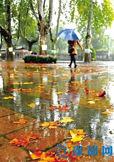 今日河南9地中雨局部大雨 明天部分地区有雪