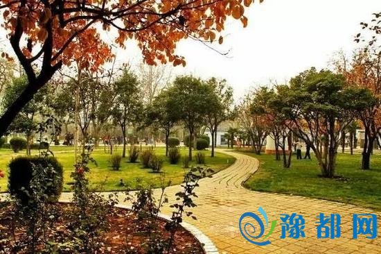 郑州这些以后都免费 还不知道你就亏大发了