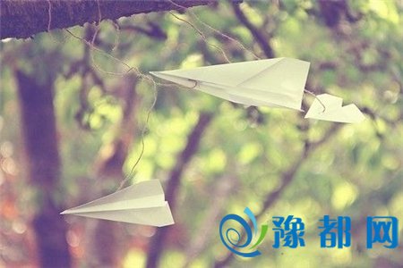 纸飞机专家 123Q02X4-0.jpg