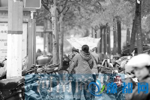 我省启动暴雪应急响应 最低气温下降8℃~10℃