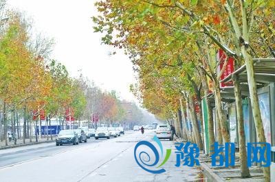 地铁2号线二期月底开工 4000株乔木要“搬家”