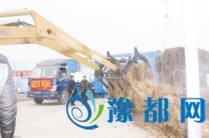 全国最大沼气池郸城建成 相当于400个普通沼气池