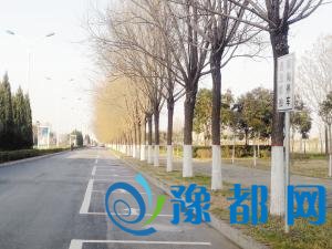 周口中心城区春节期间停车攻略 可到这里停车