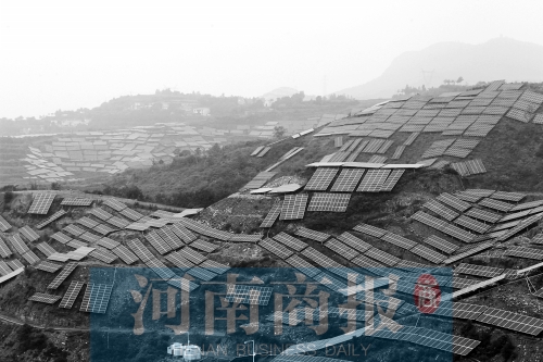 100棵会发电的“树”下个月将“种”在310国道旁